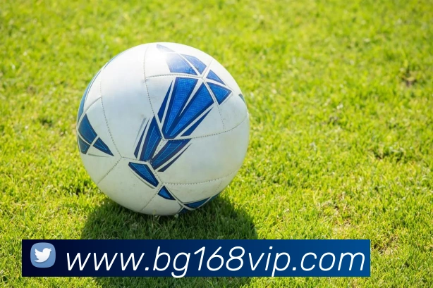 BG真人APP 封面图